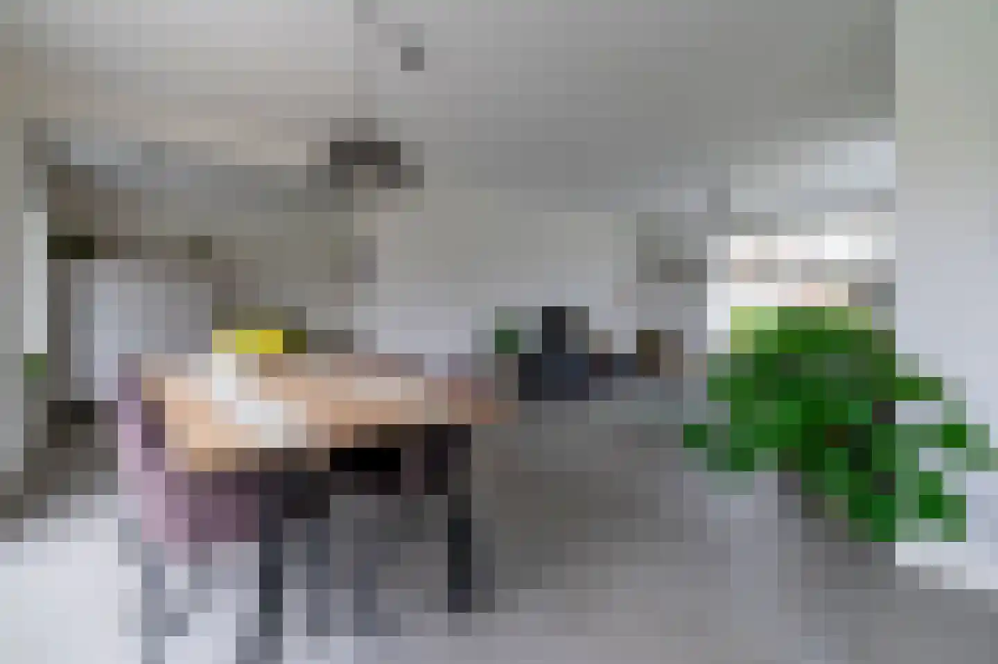De Kraan 32 Berkel-Enschot thumbnail 8
