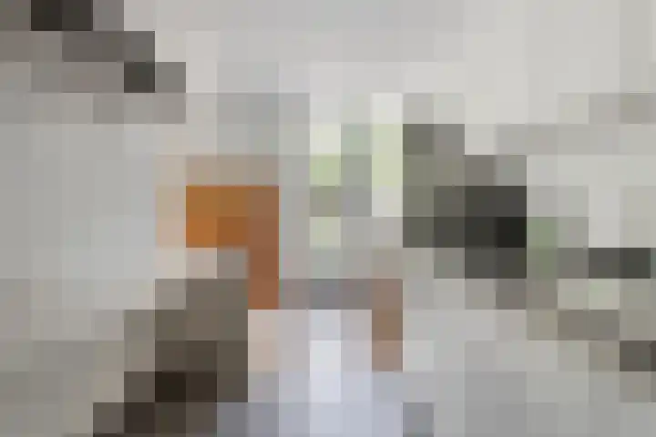 De Kraan 74 Berkel-Enschot thumbnail 12