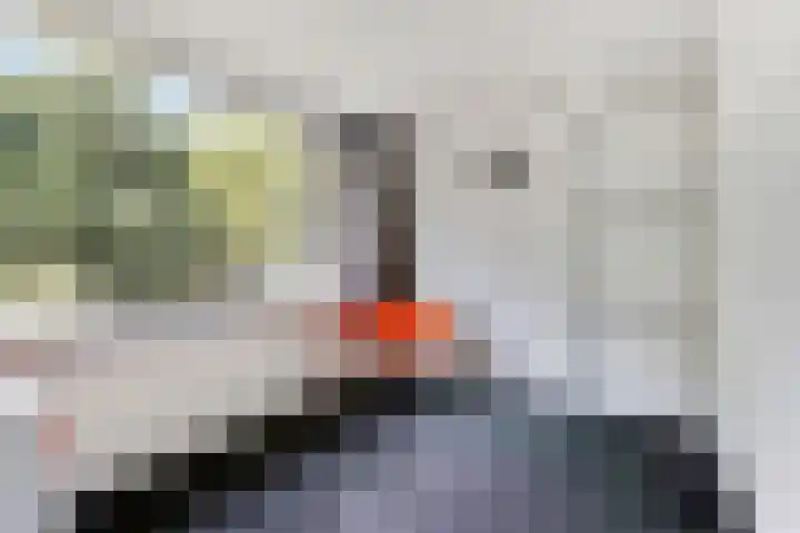 De Kraan 74 Berkel-Enschot thumbnail 18