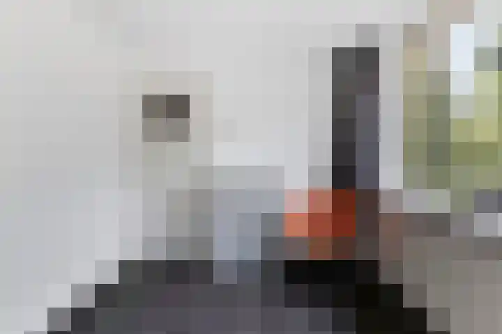 De Kraan 74 Berkel-Enschot thumbnail 19