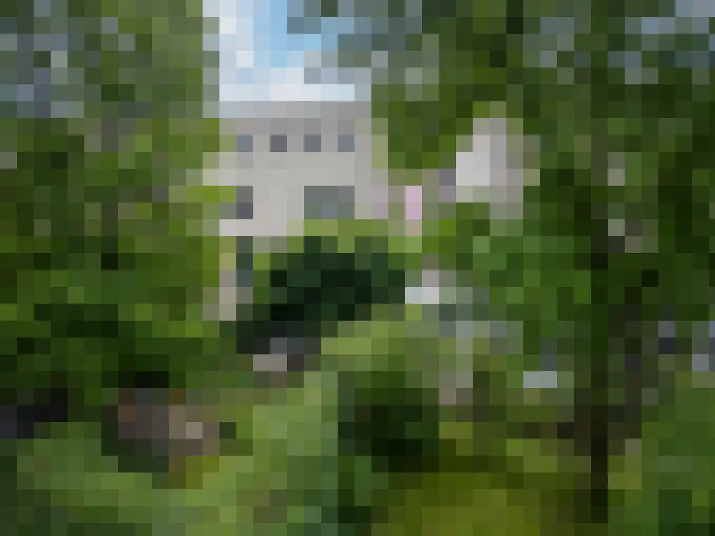 De Kragge 24 Amersfoort thumbnail 11