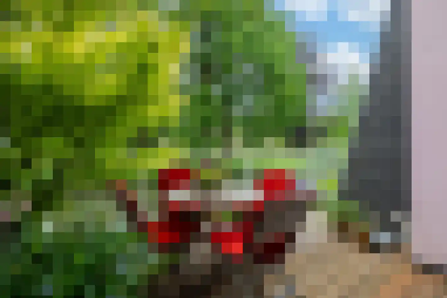 De Kragge 24 Amersfoort thumbnail 30