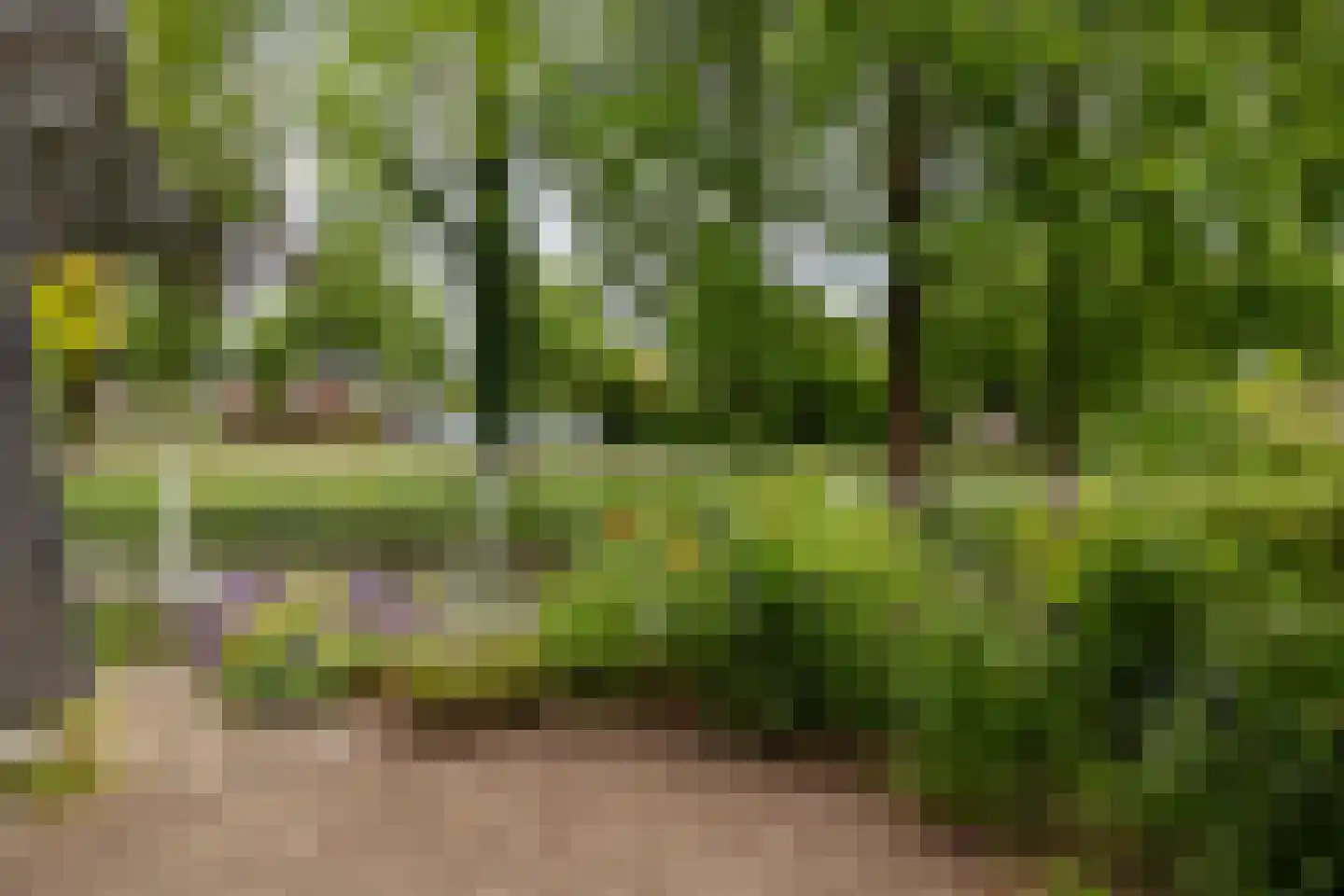 De Kragge 24 Amersfoort thumbnail 31