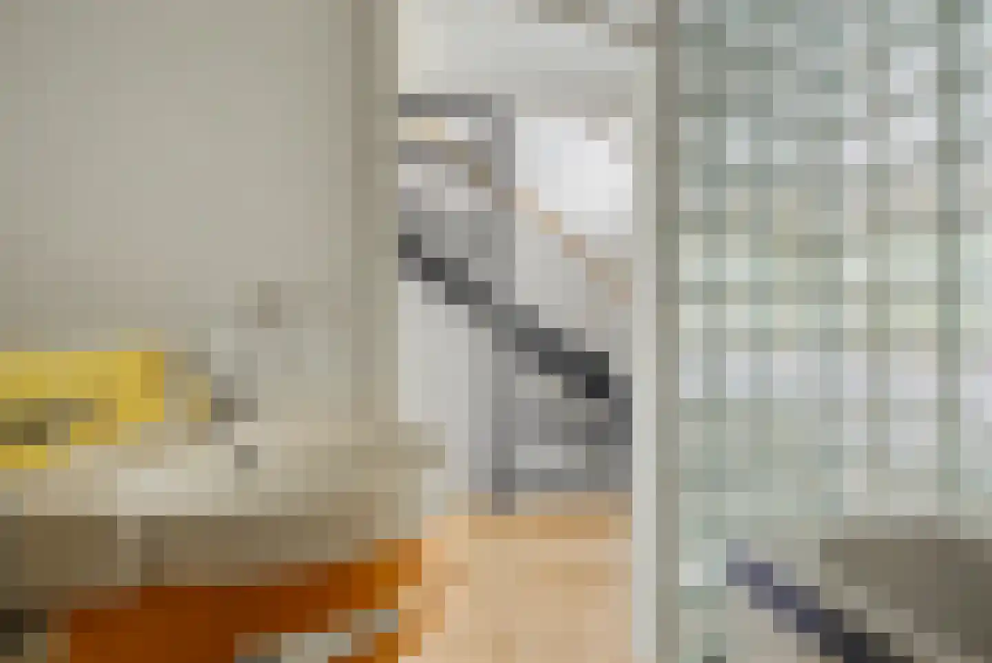 De Kragge 24 Amersfoort thumbnail 42