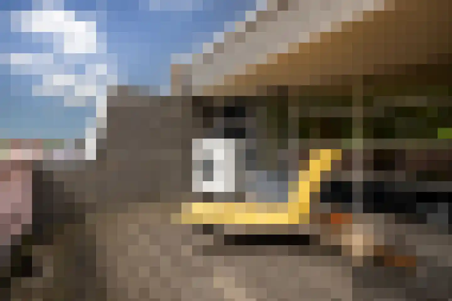 De Kragge 24 Amersfoort thumbnail 54