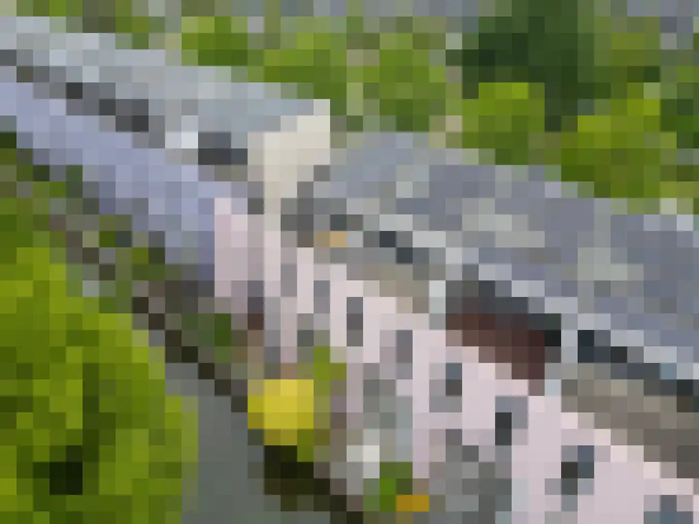 De Kragge 24 Amersfoort thumbnail 55