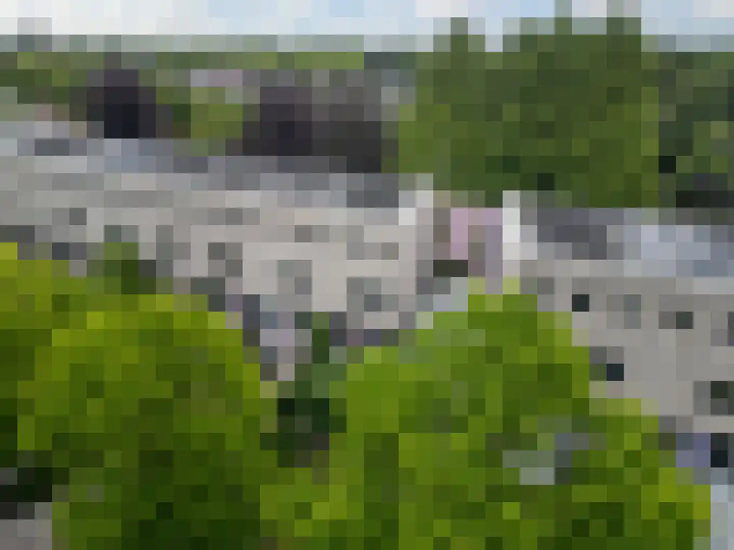 De Kragge 24 Amersfoort thumbnail 57