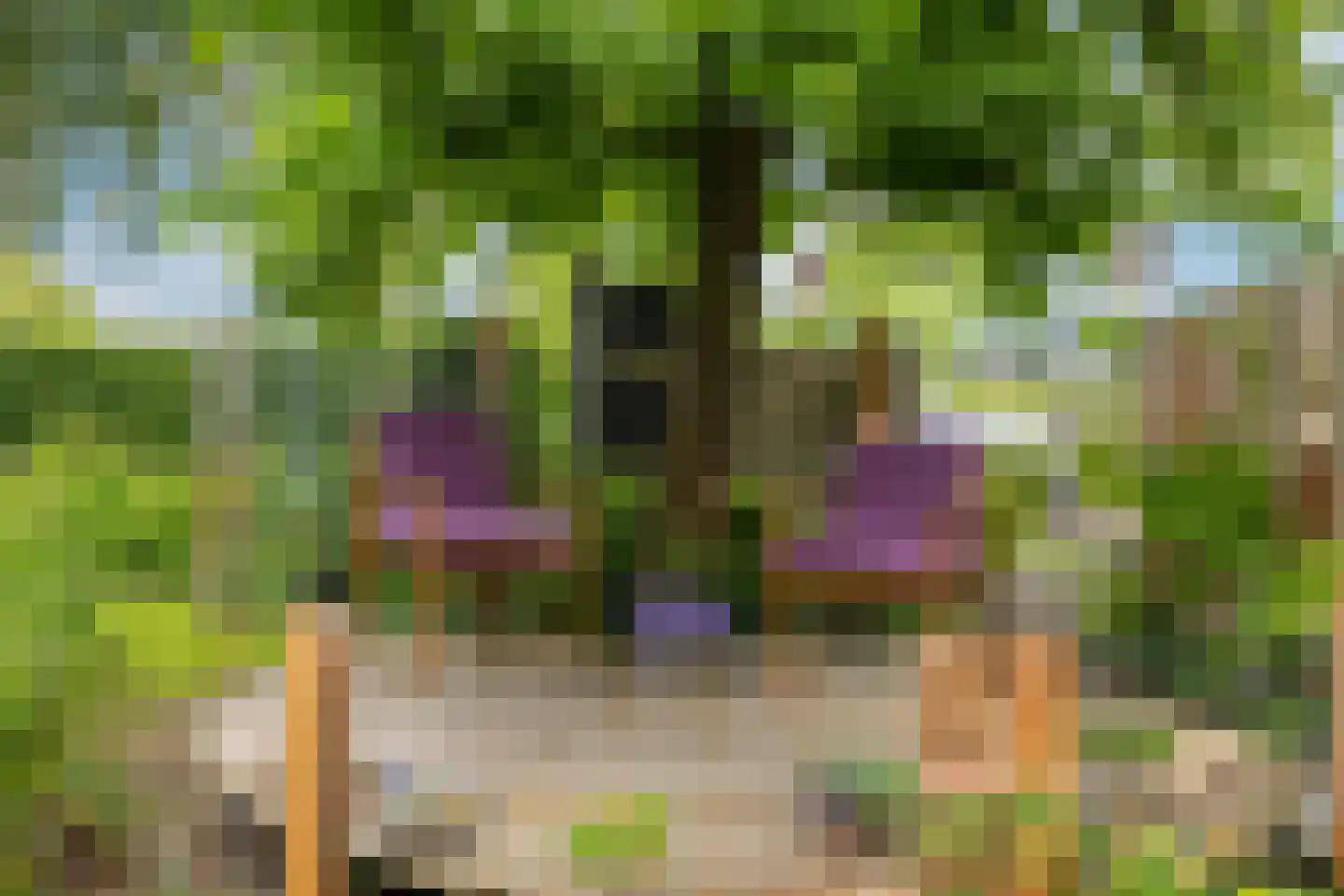 De Kragge 24 Amersfoort thumbnail 8