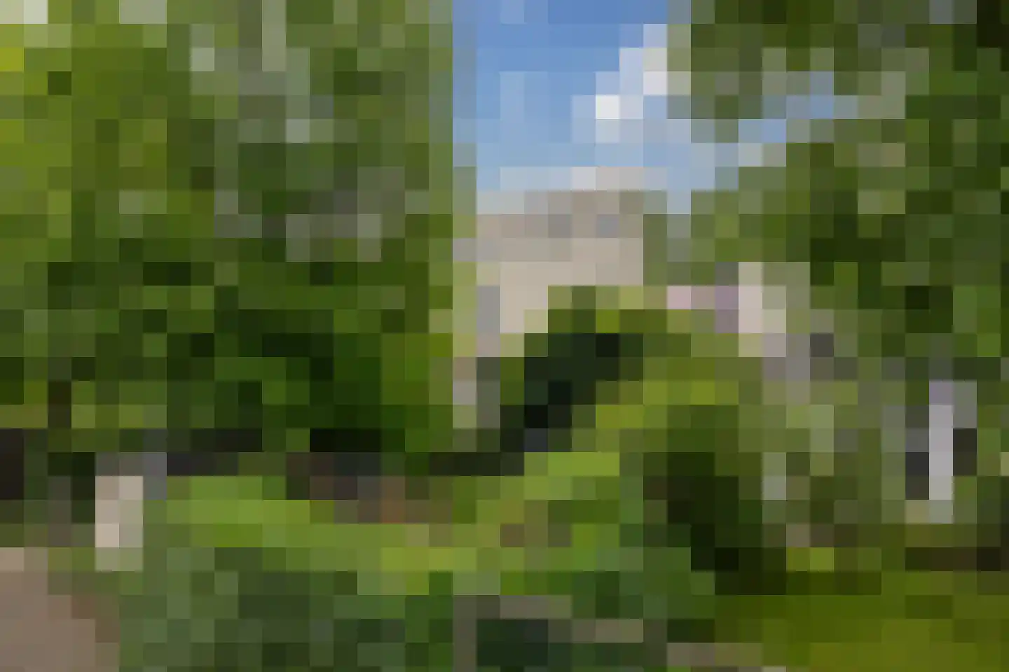 De Kragge 24 Amersfoort thumbnail 9
