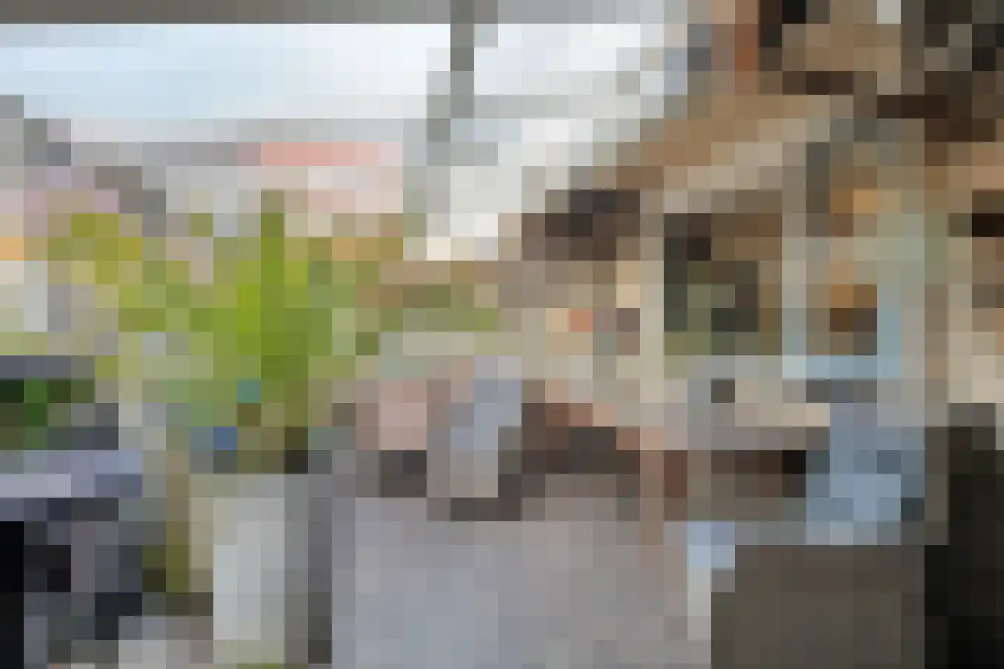 De Kragge 24 Scherpenzeel thumbnail 11