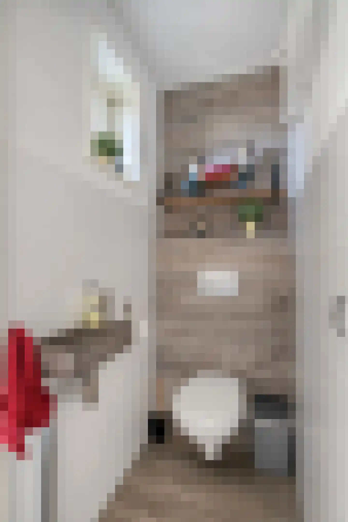 De Kragge 24 Scherpenzeel thumbnail 13