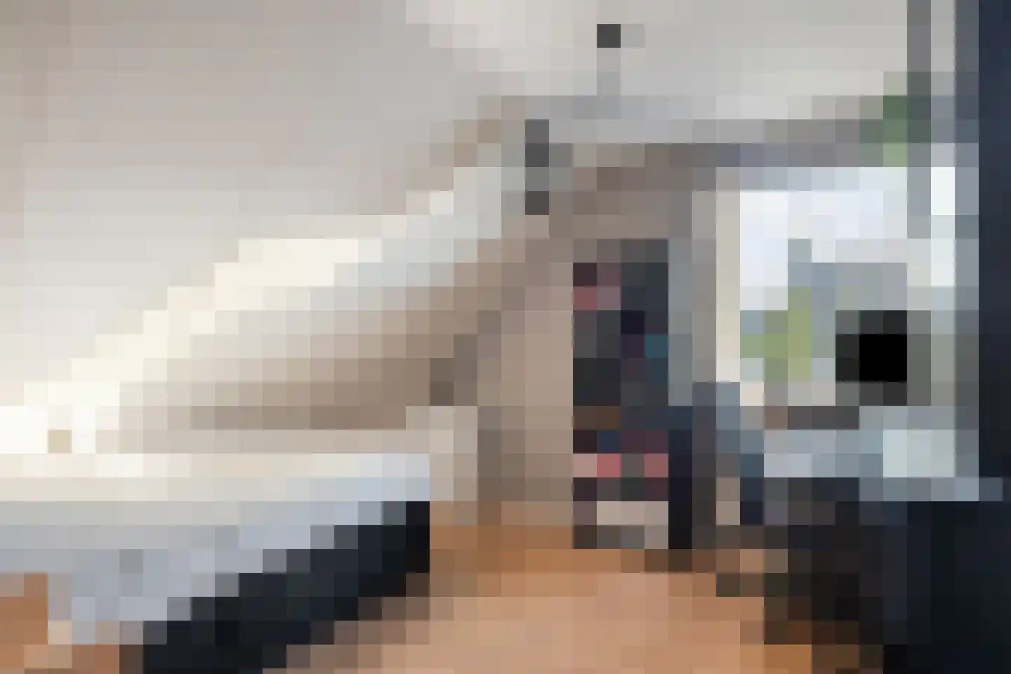 De Kragge 24 Scherpenzeel thumbnail 17