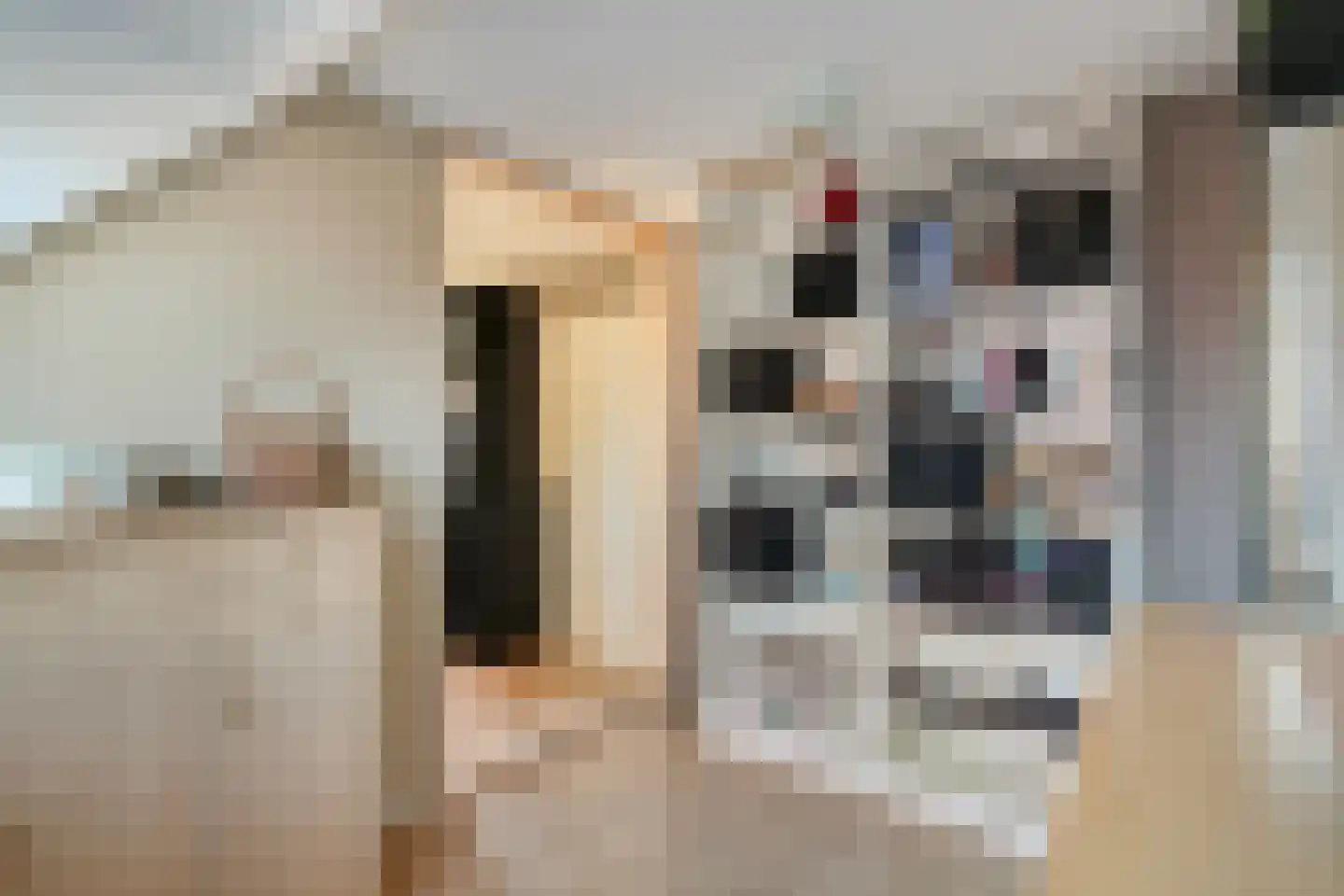 De Kragge 24 Scherpenzeel thumbnail 20