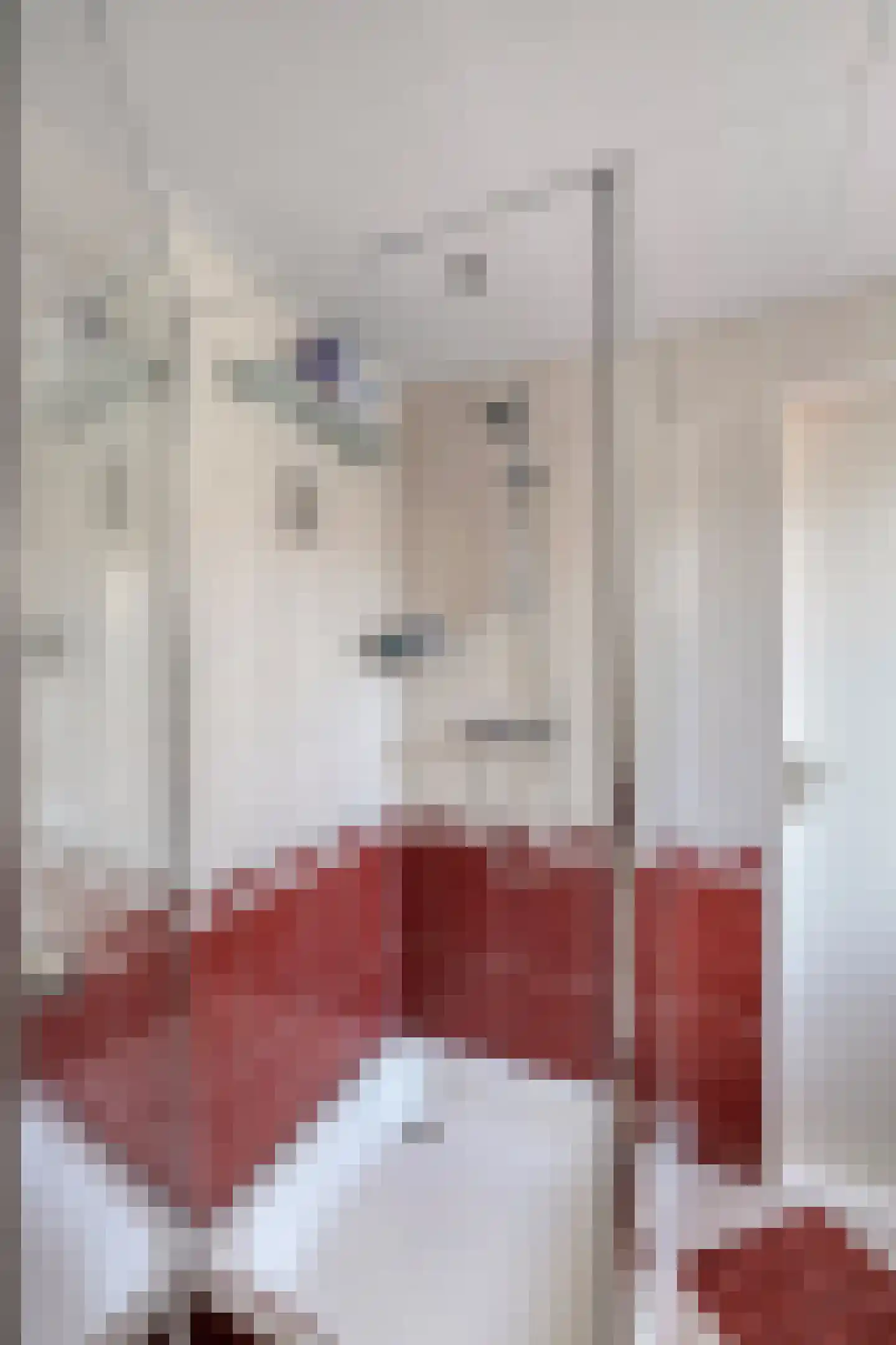 De Kragge 24 Scherpenzeel thumbnail 24