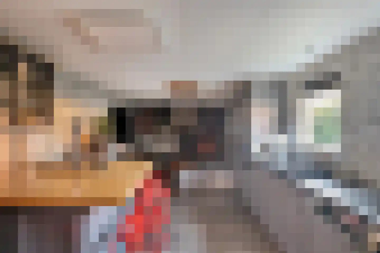 De Kragge 24 Scherpenzeel thumbnail 31