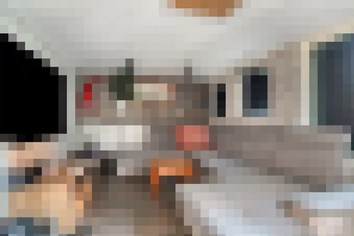 De Kragge 24 Scherpenzeel thumbnail 32