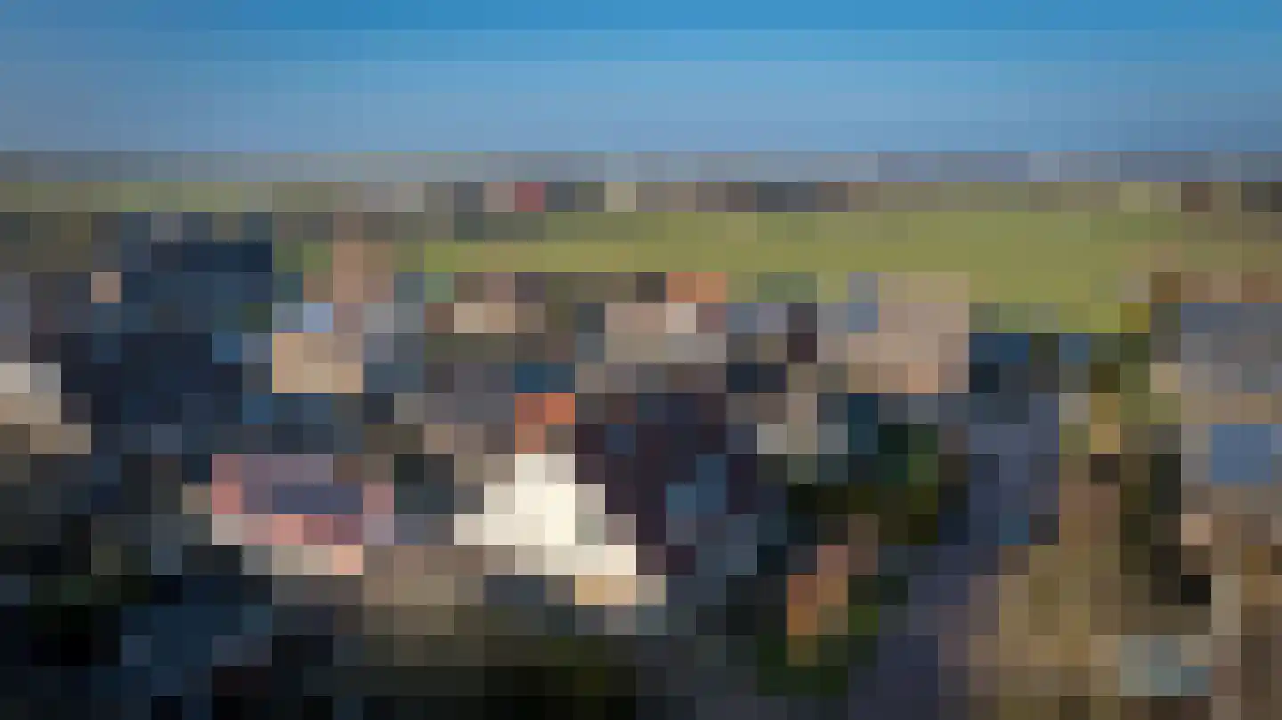 De Kragge 24 Scherpenzeel thumbnail 45