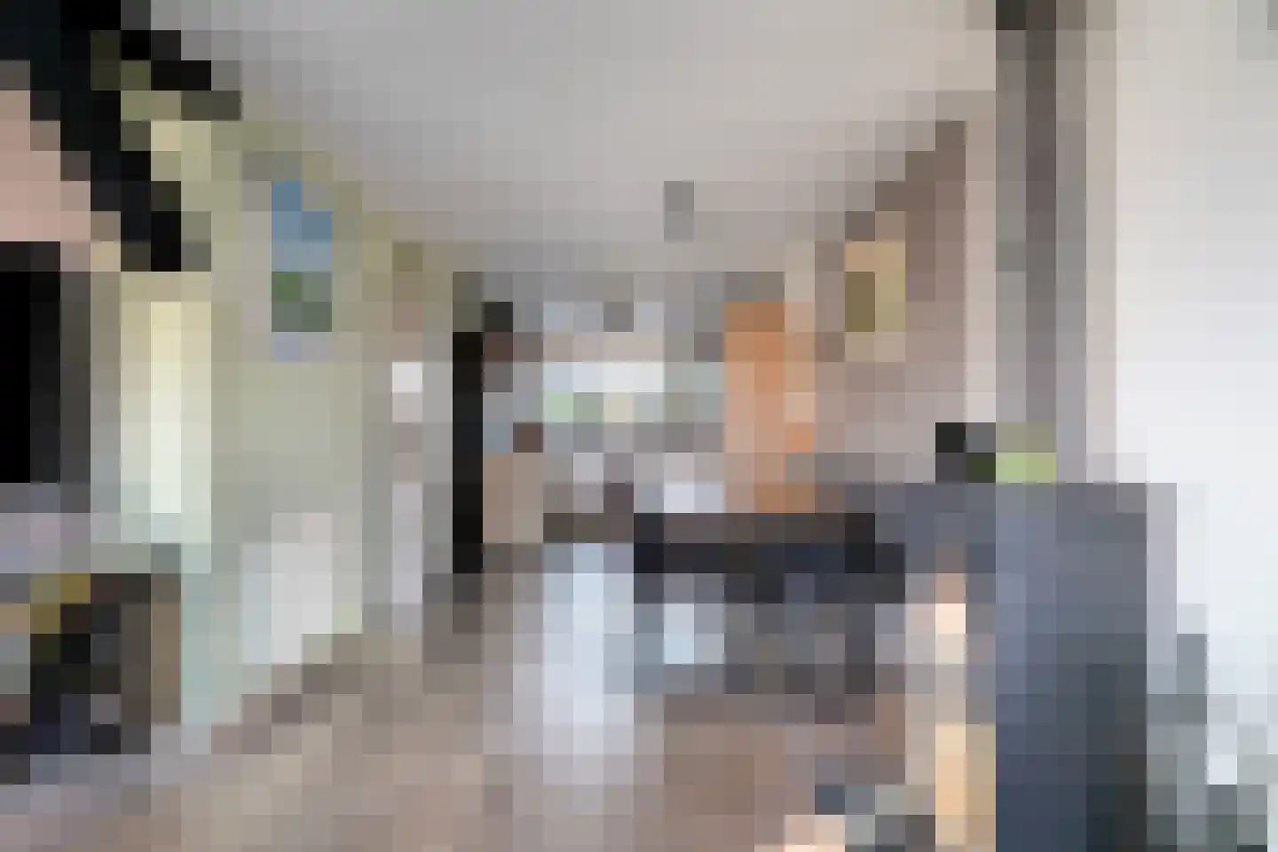 De Kragge 24 Scherpenzeel thumbnail 6