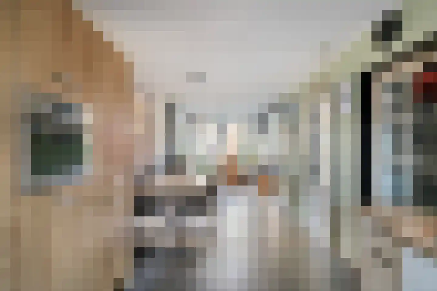 De Kragge 24 Scherpenzeel thumbnail 9