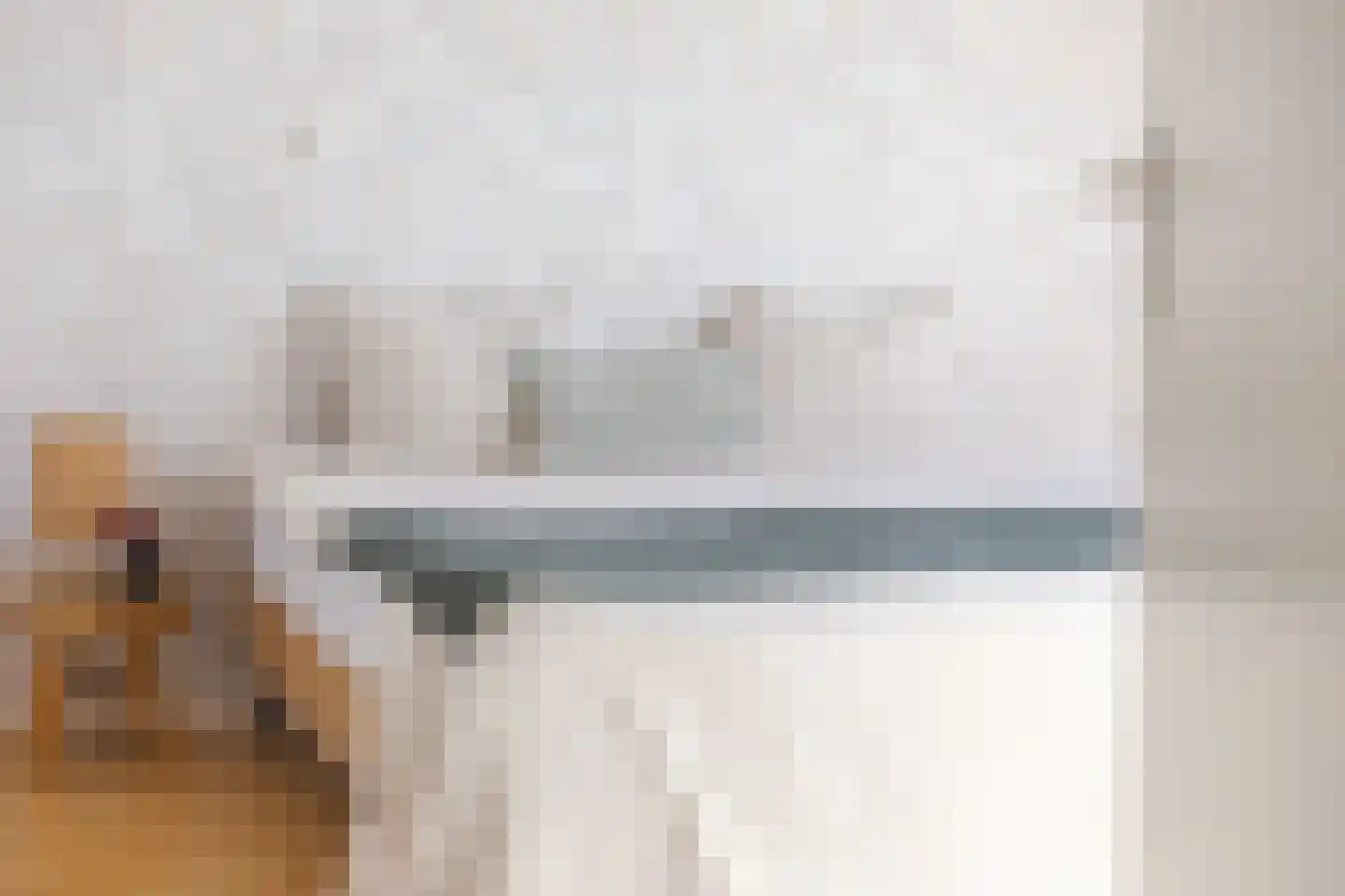 De Kragge 3 Scherpenzeel thumbnail 28