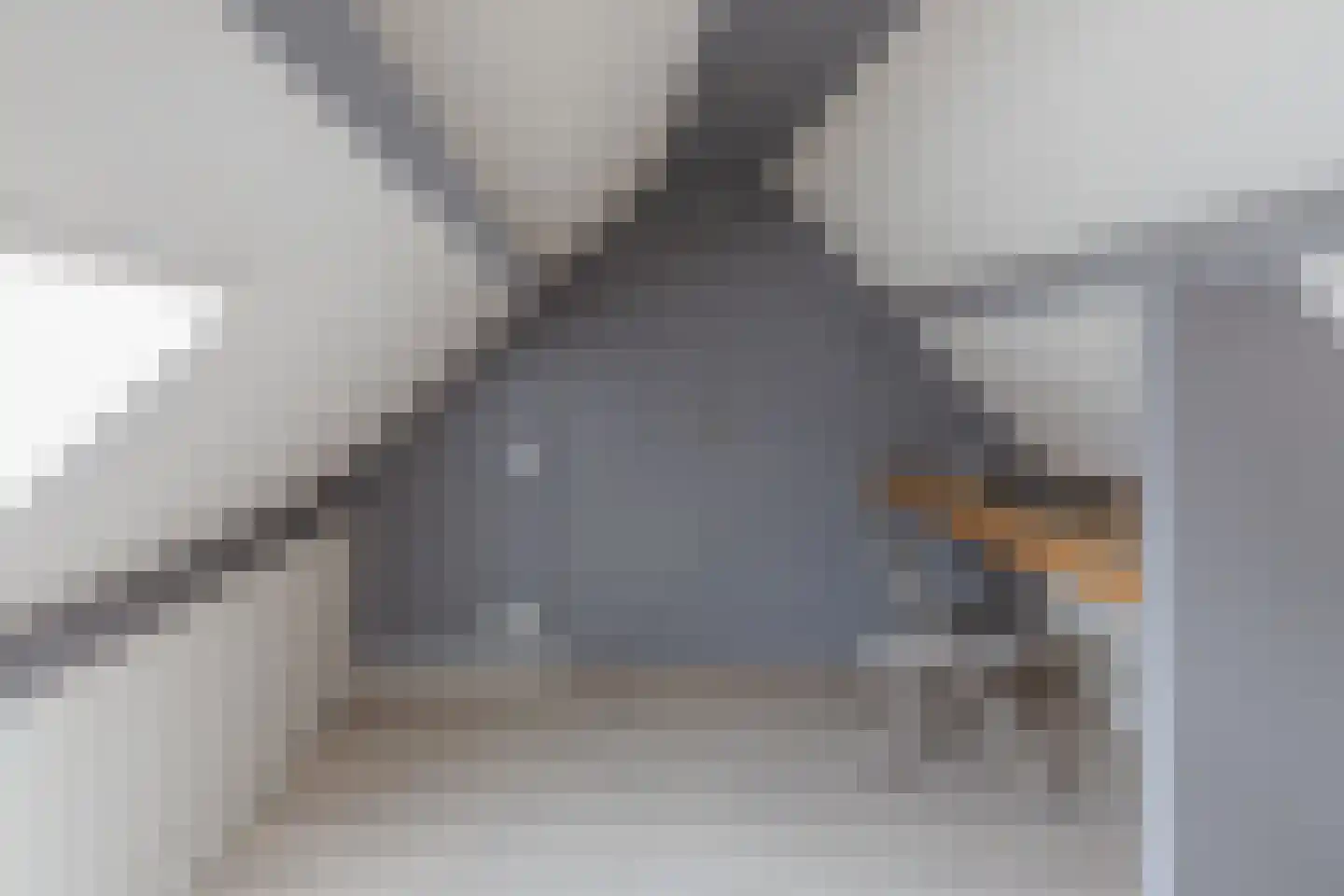 De Kragge 3 Scherpenzeel thumbnail 37