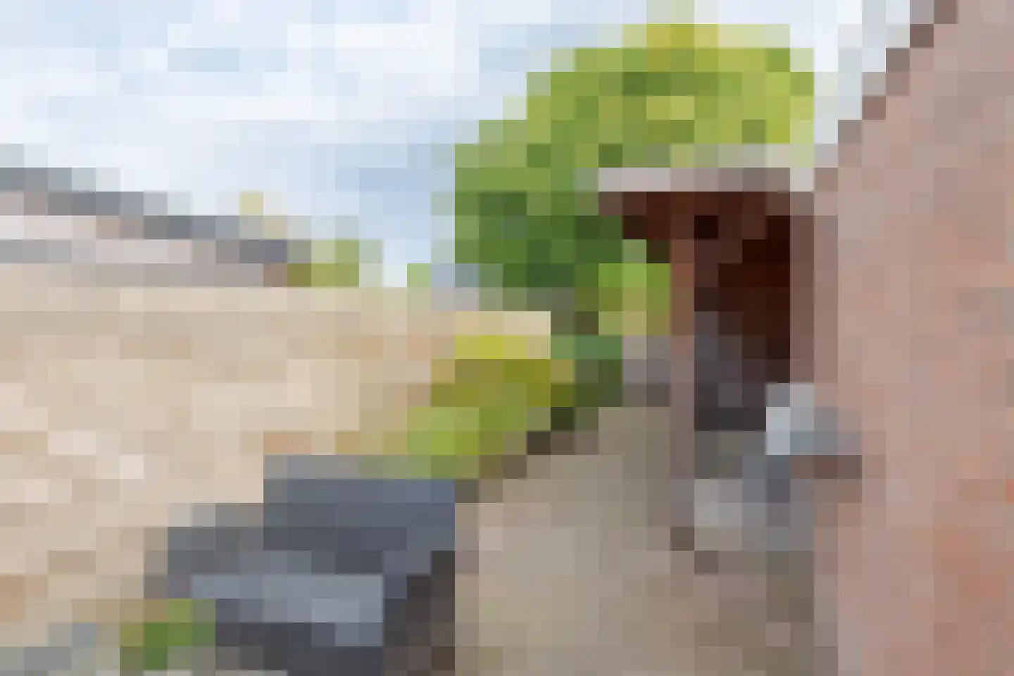 De Kragge 3 Scherpenzeel thumbnail 39