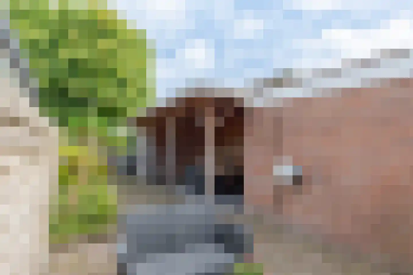 De Kragge 3 Scherpenzeel thumbnail 40