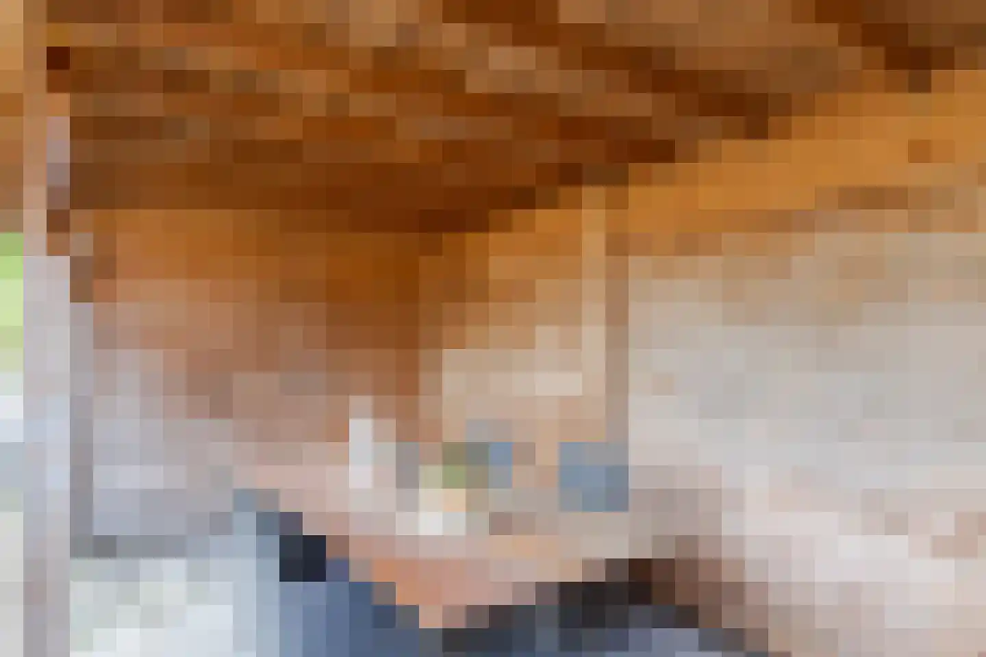De Kragge 3 Scherpenzeel thumbnail 42