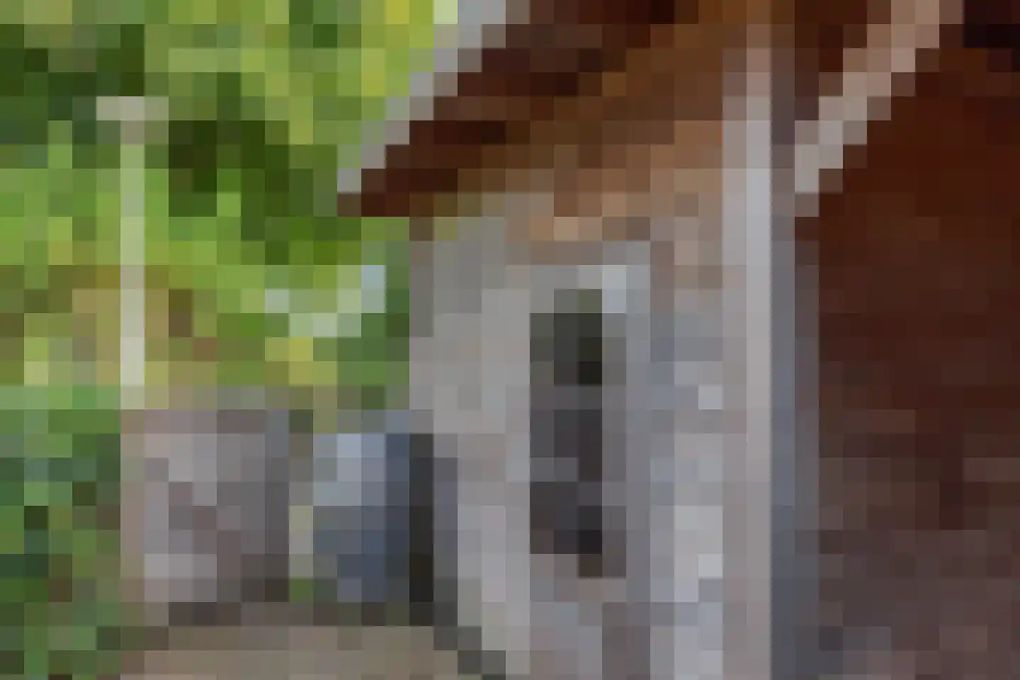 De Kragge 3 Scherpenzeel thumbnail 44