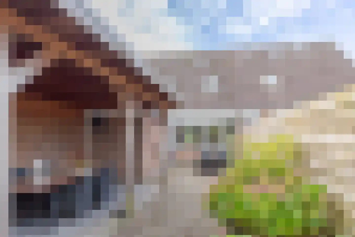 De Kragge 3 Scherpenzeel thumbnail 45