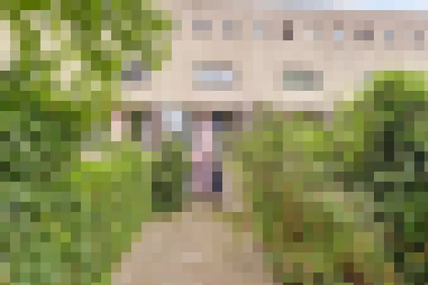 De Kragge 38 Amersfoort thumbnail 6