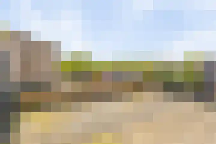 De Kramershilt 15 Leusden thumbnail 13