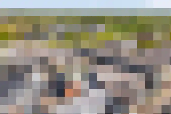 De Kramershilt 15 Leusden thumbnail 31