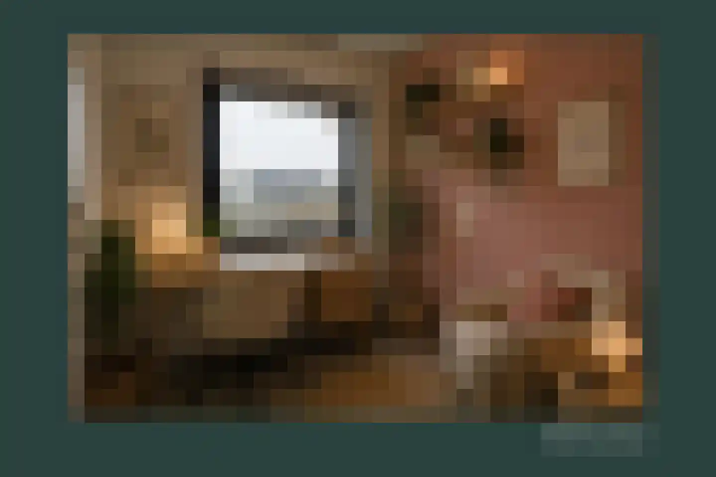De Kramershilt 18 Leusden thumbnail 25