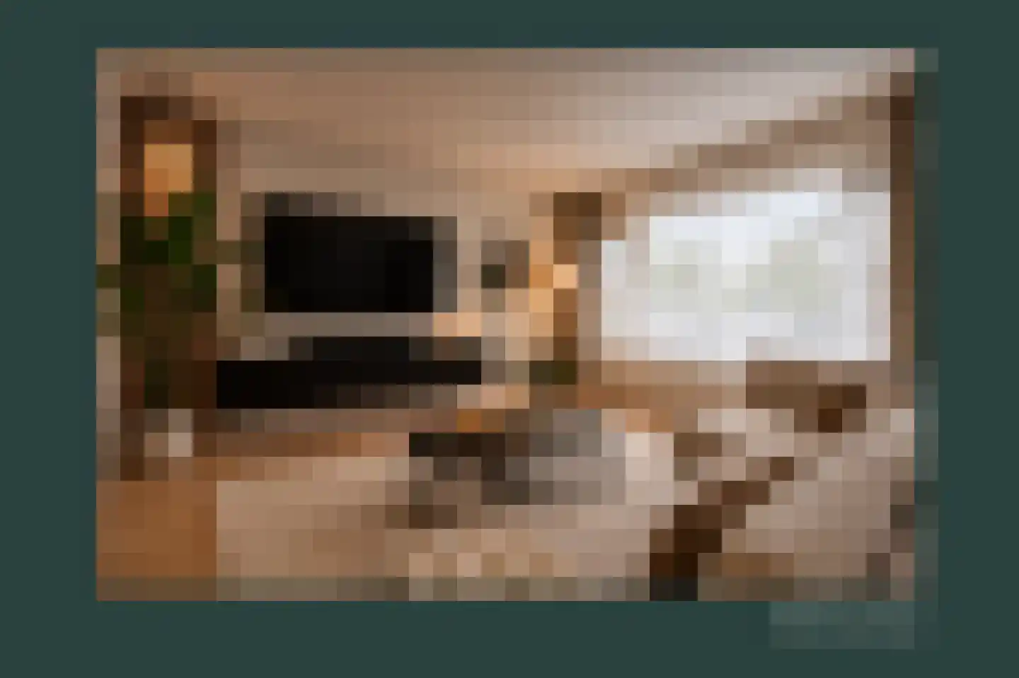 De Kramershilt 23 Leusden thumbnail 8