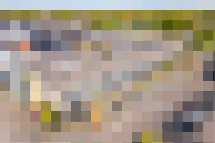De Kramershilt 24 Leusden thumbnail 23