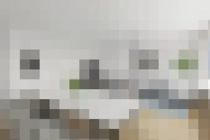 De Kramershilt 24 Leusden thumbnail 9