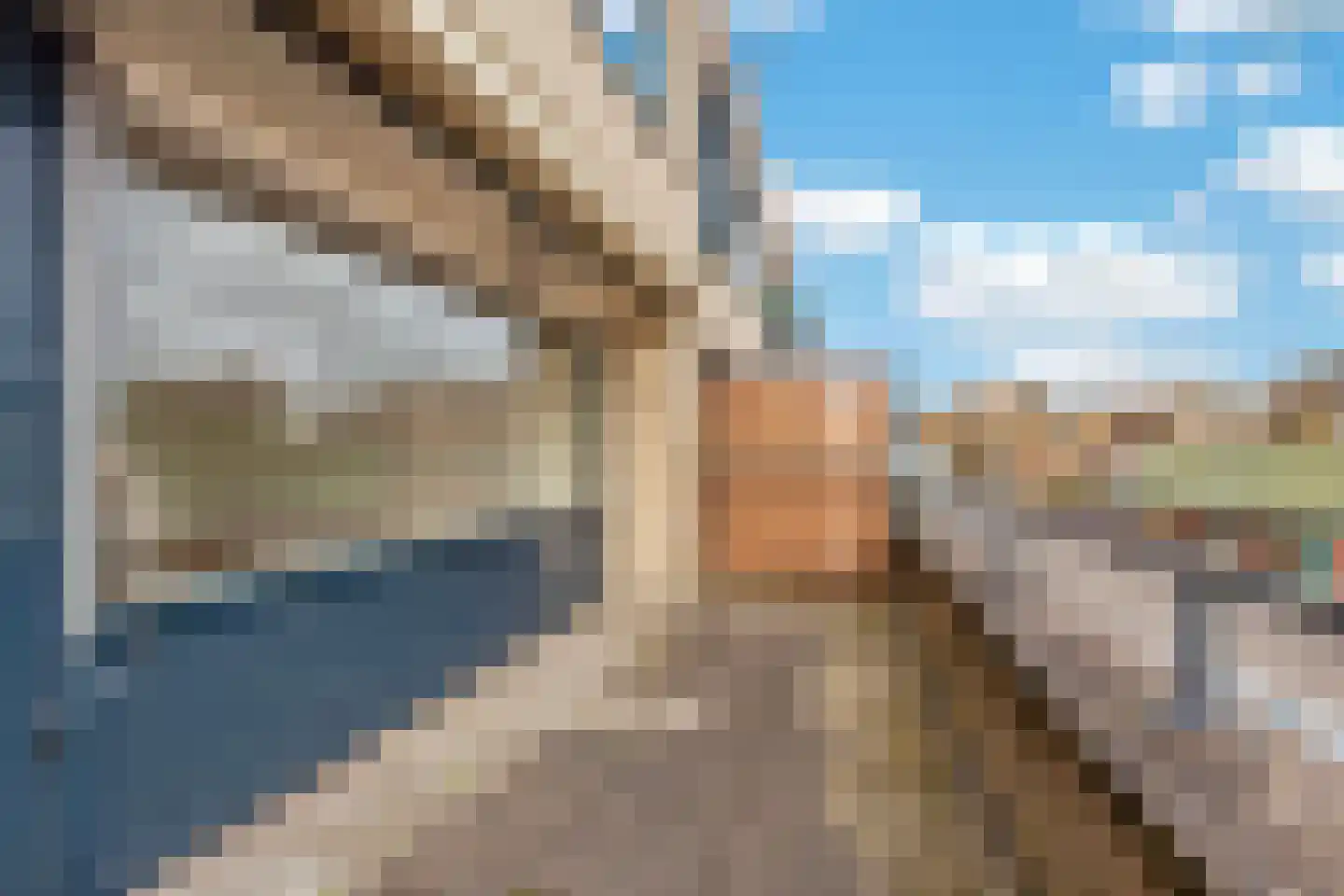 De Kramershilt 3 Leusden thumbnail 15
