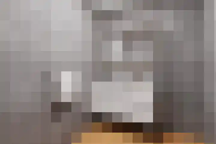 De Kramershilt 32 Leusden thumbnail 13