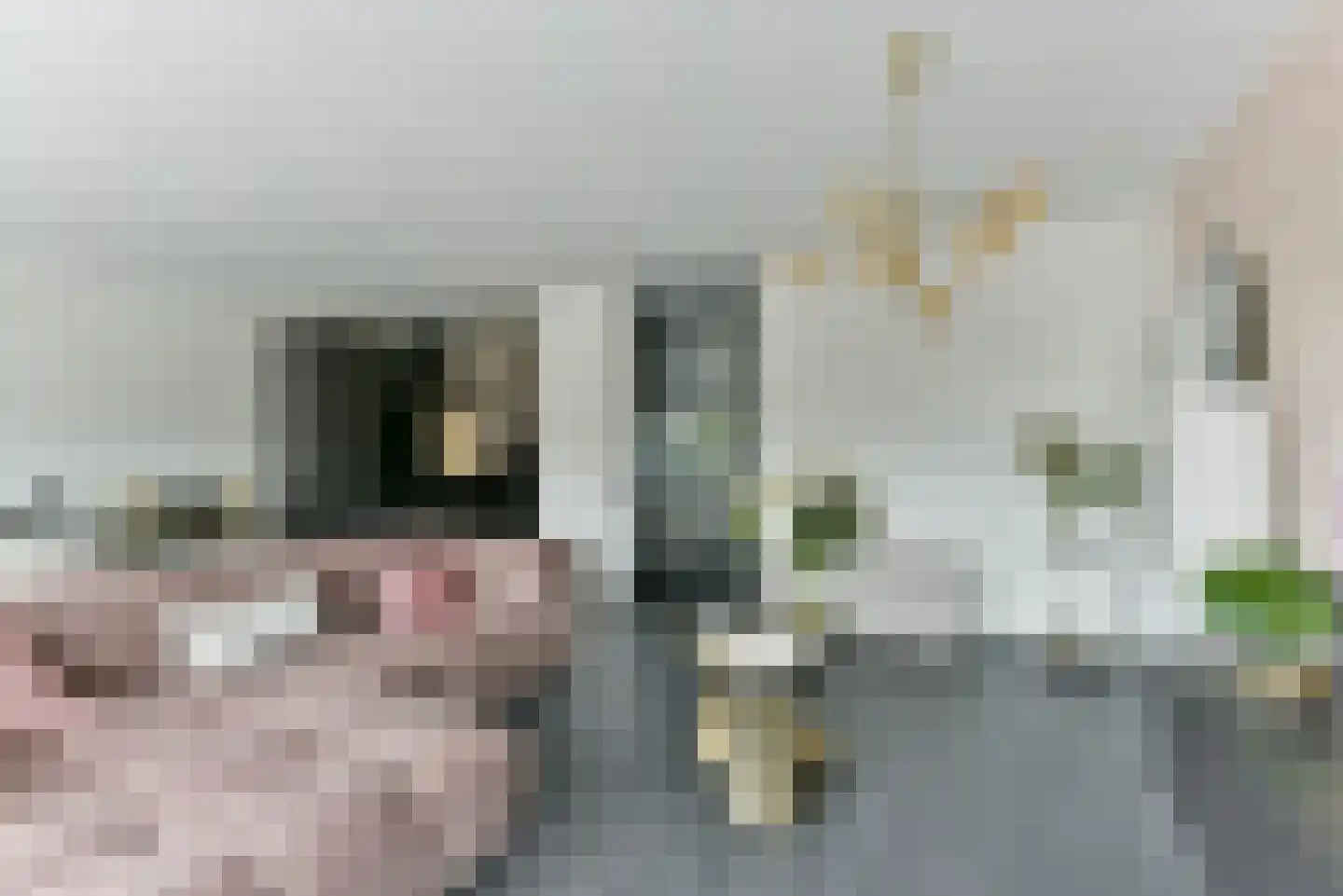 De Kramershilt 33 Leusden thumbnail 10