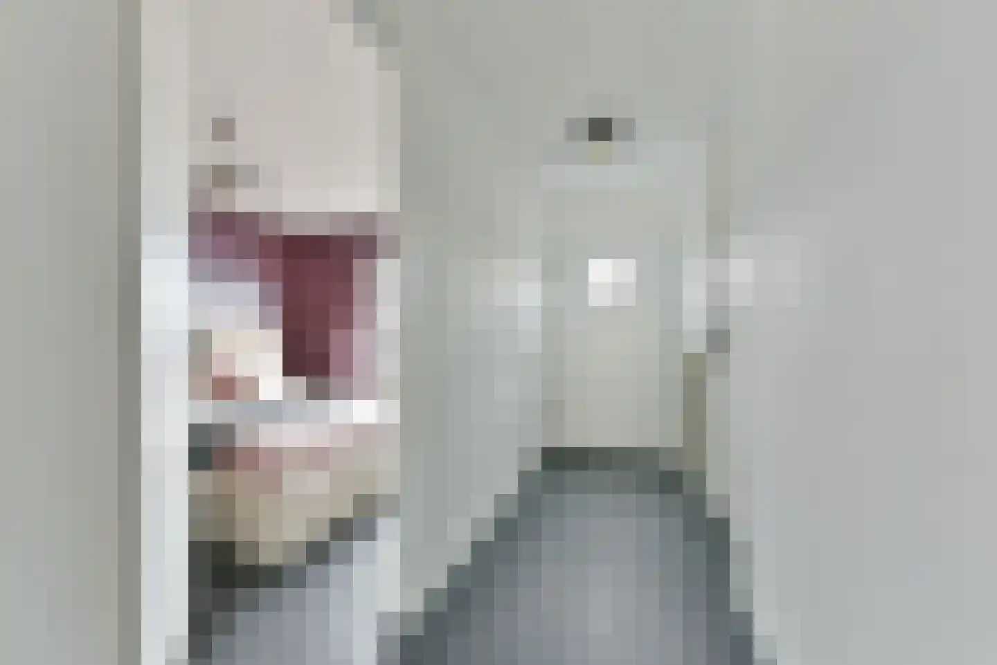 De Kramershilt 33 Leusden thumbnail 19