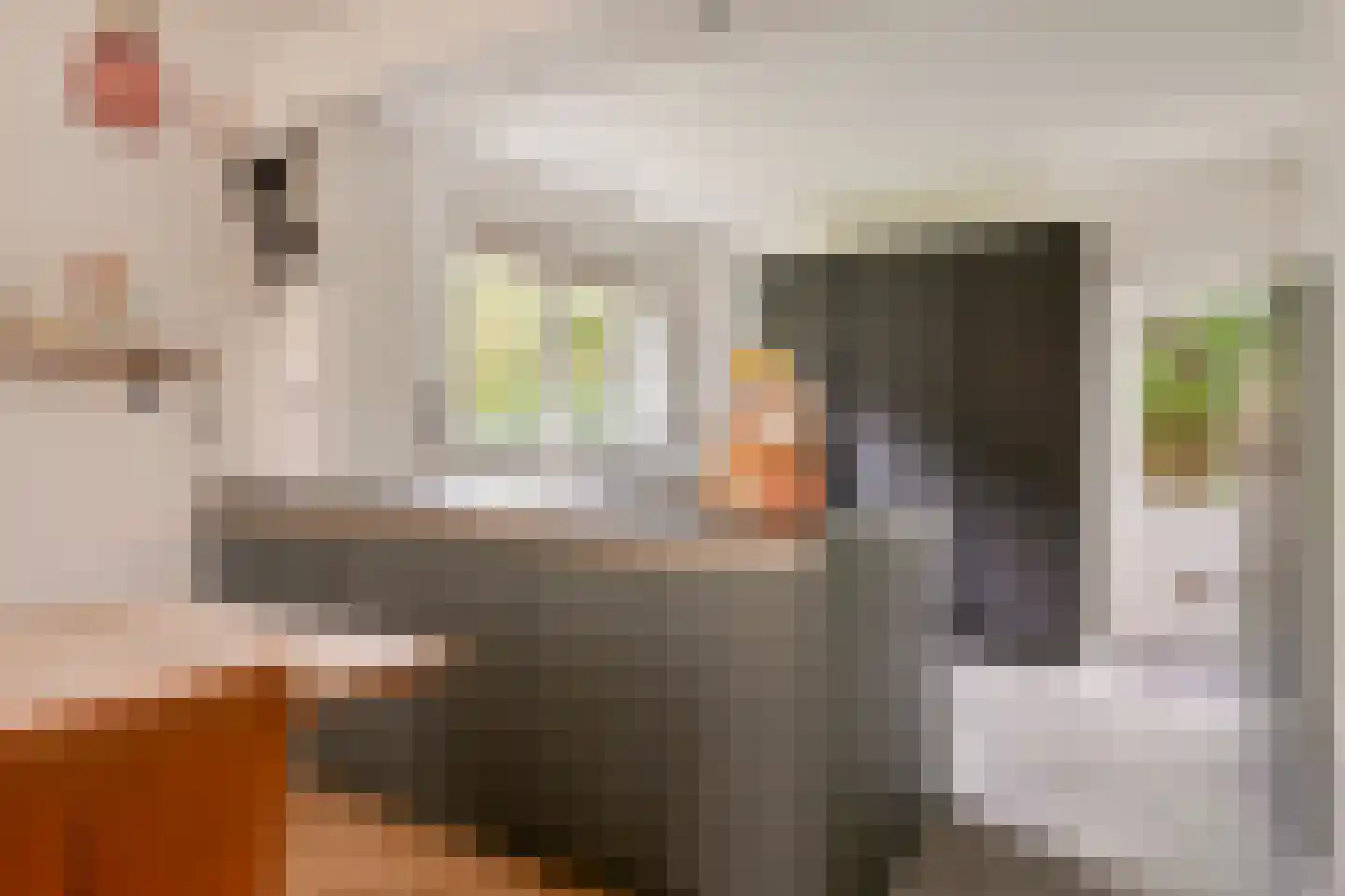 de Krammer 10 Middelburg thumbnail 11
