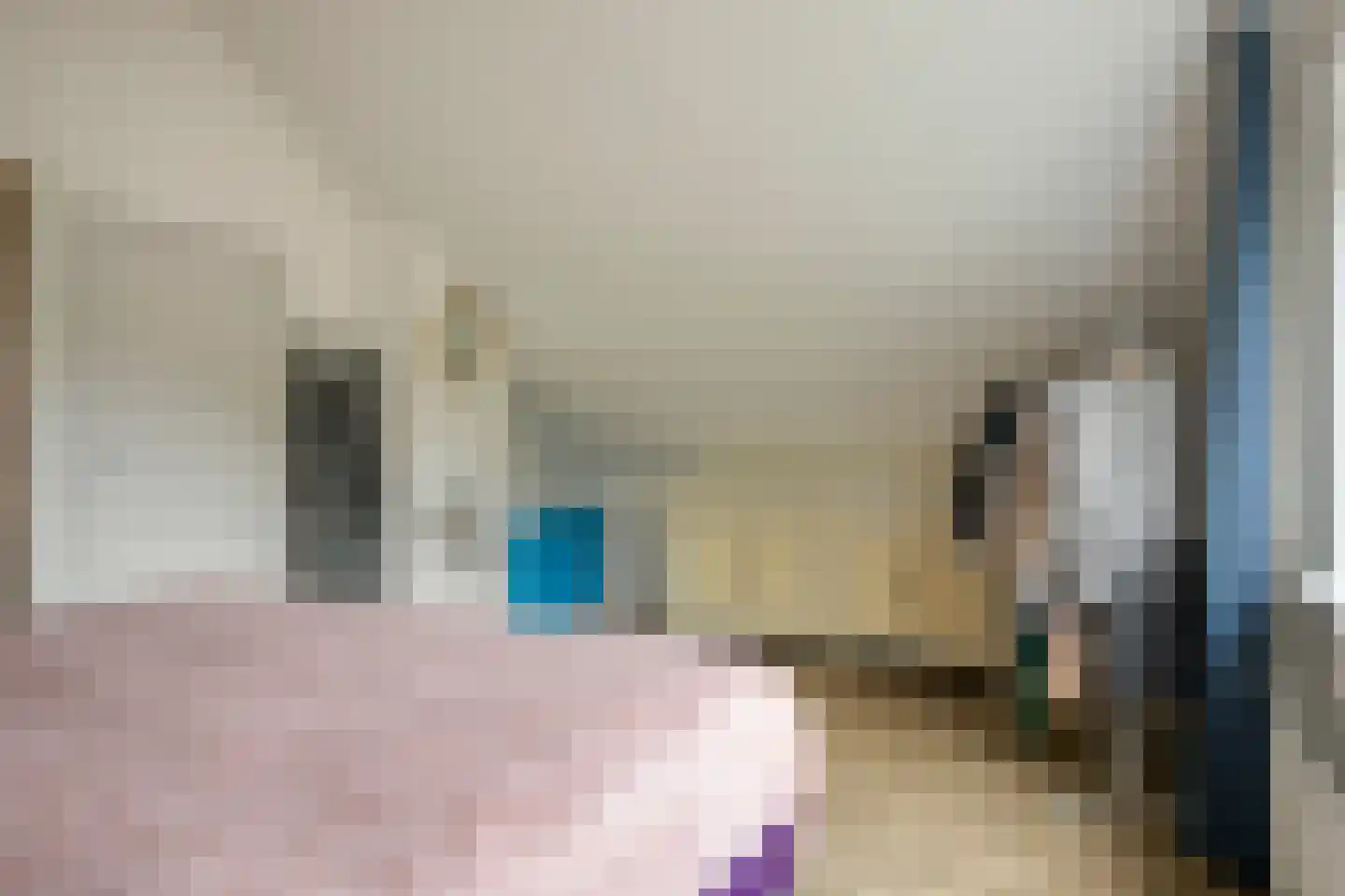 de Krammer 10 Middelburg thumbnail 20