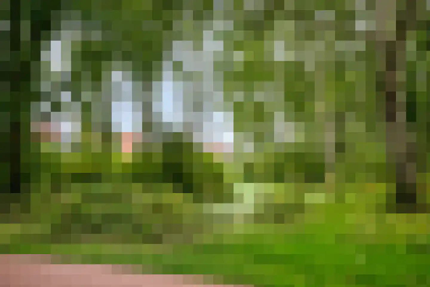 de Krammer 10 Middelburg thumbnail 37