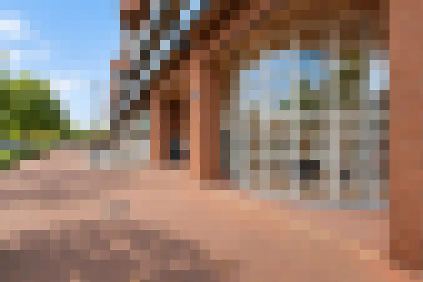 De Kranshof 132 Tiel thumbnail 10