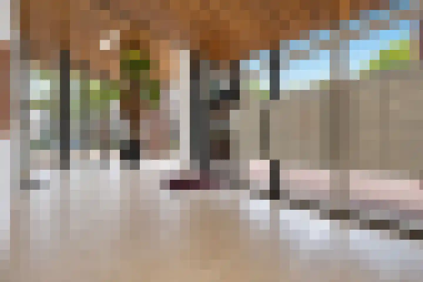 De Kranshof 132 Tiel thumbnail 12