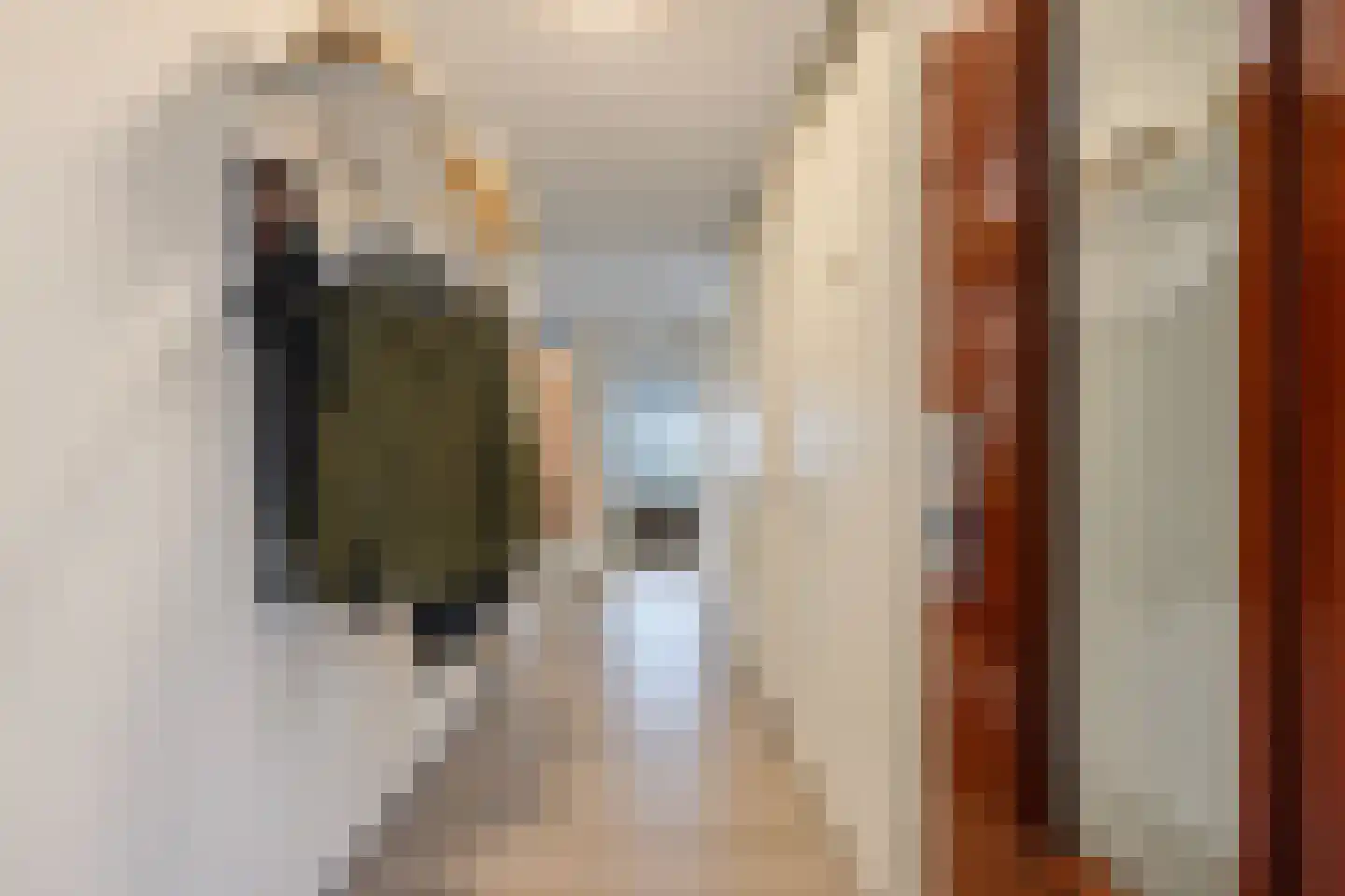 De Kranshof 132 Tiel thumbnail 14