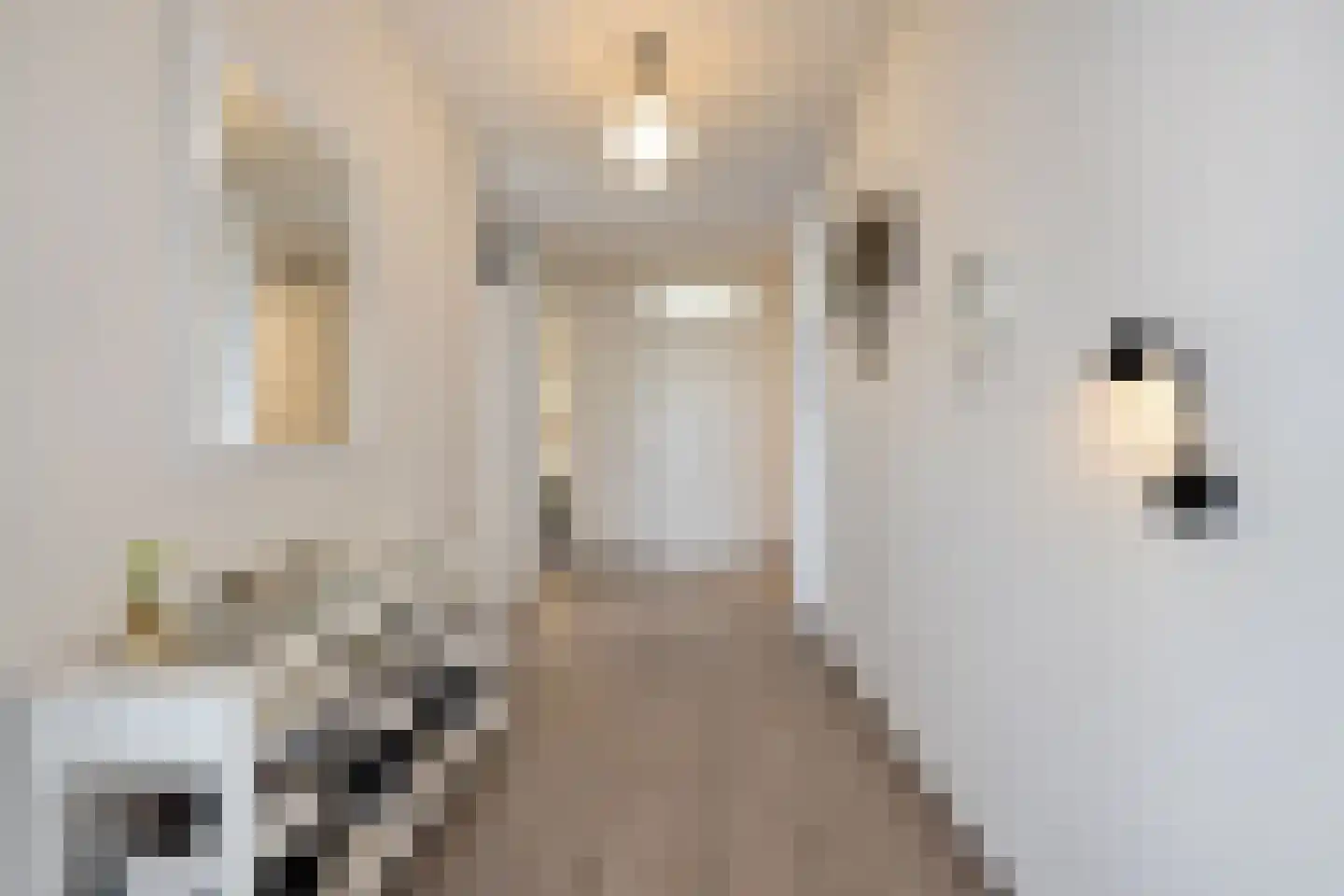 De Kranshof 132 Tiel thumbnail 15