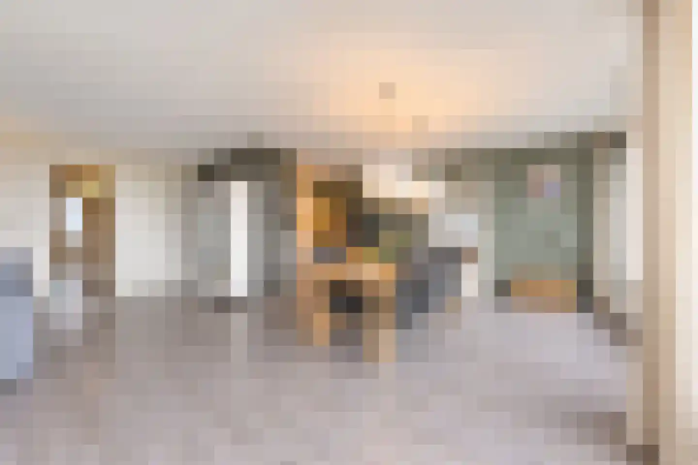 De Kranshof 132 Tiel thumbnail 31