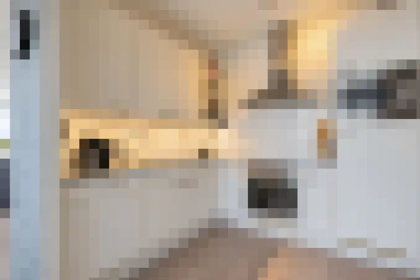 De Kranshof 132 Tiel thumbnail 33